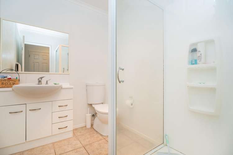 4 Ajax Head Pauanui_7