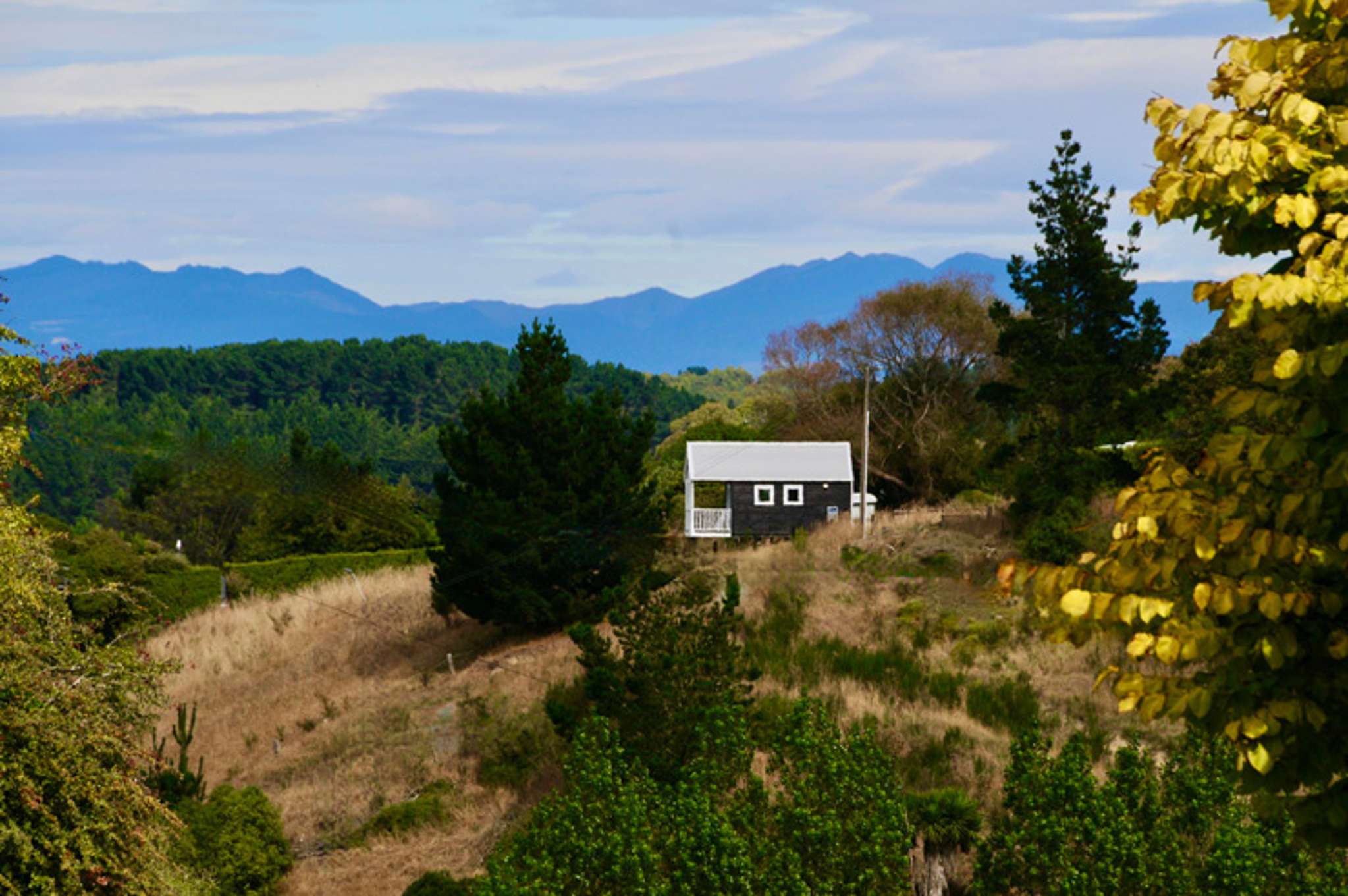 Tiny home, tiny horse: Shetland pony breeder selling 14sqm home for $275K-plus