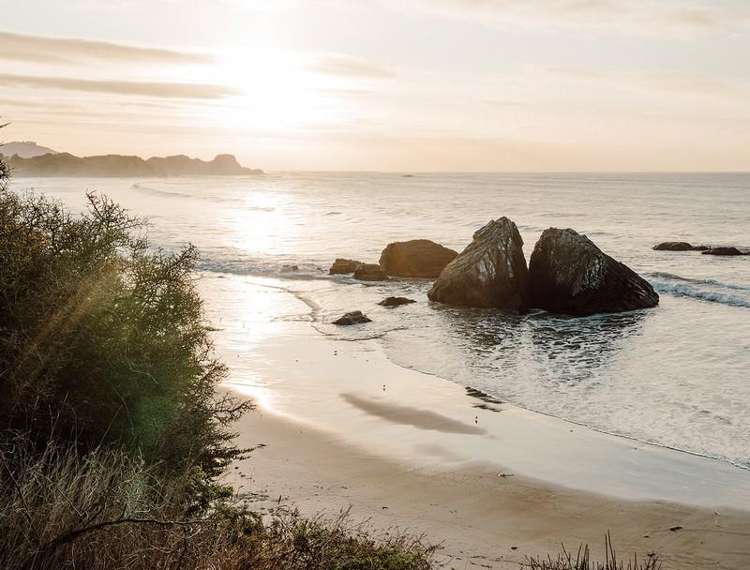 1140 Coast Road, Karitane Dunedin_37