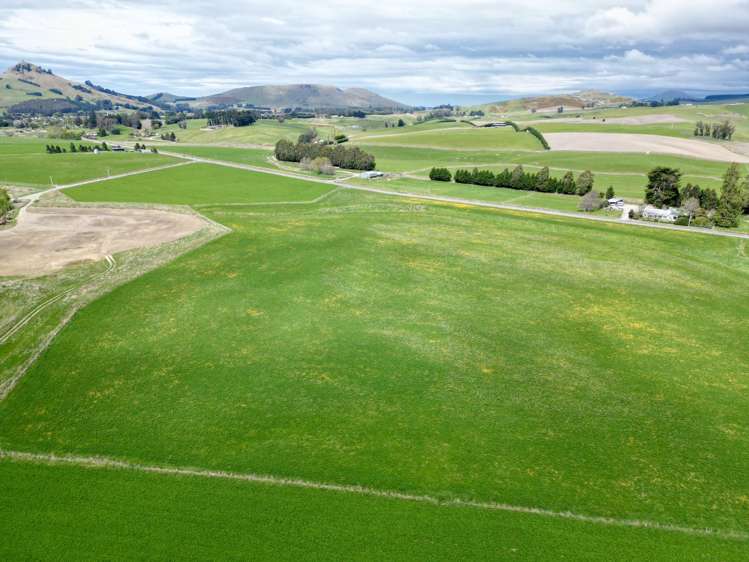 Palmerston-Dunback Road/Switchback Road Palmerston_16