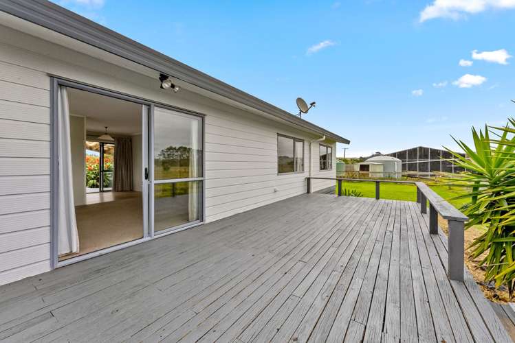 331 South Head Road, South Head Helensville_7