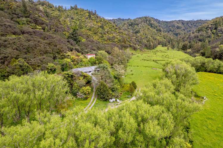 3133 Mokau Road Mokau_25