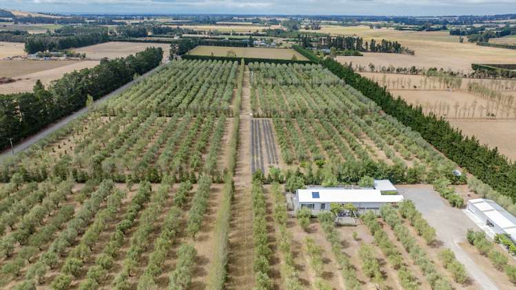 179 Racecourse Road Amberley_40