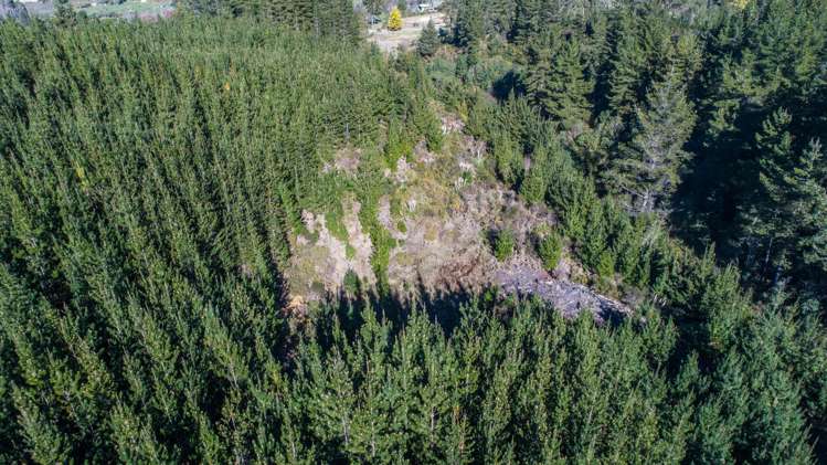 168 Seaton Valley Road Upper Moutere_5