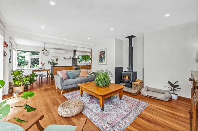 428 Kowai Road Springfield_1