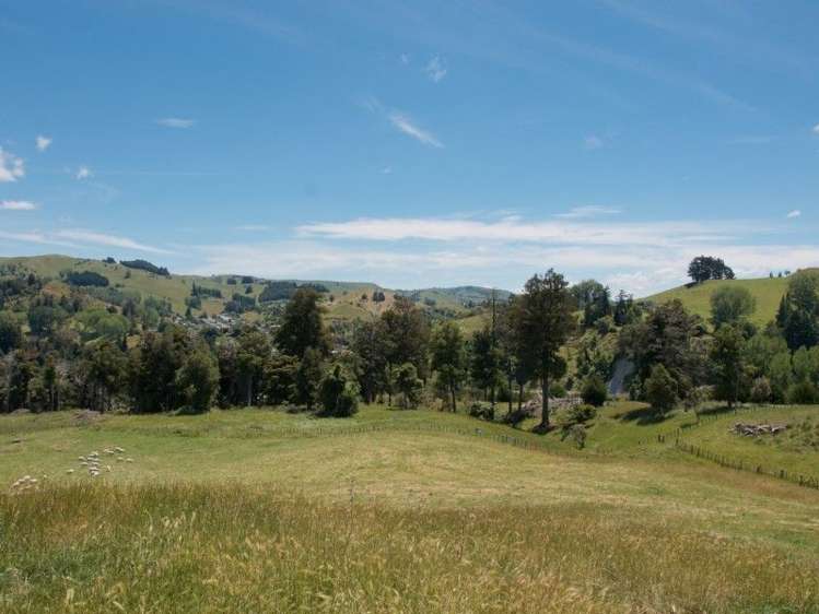 101 Papakai Road Taihape and Surrounds_21