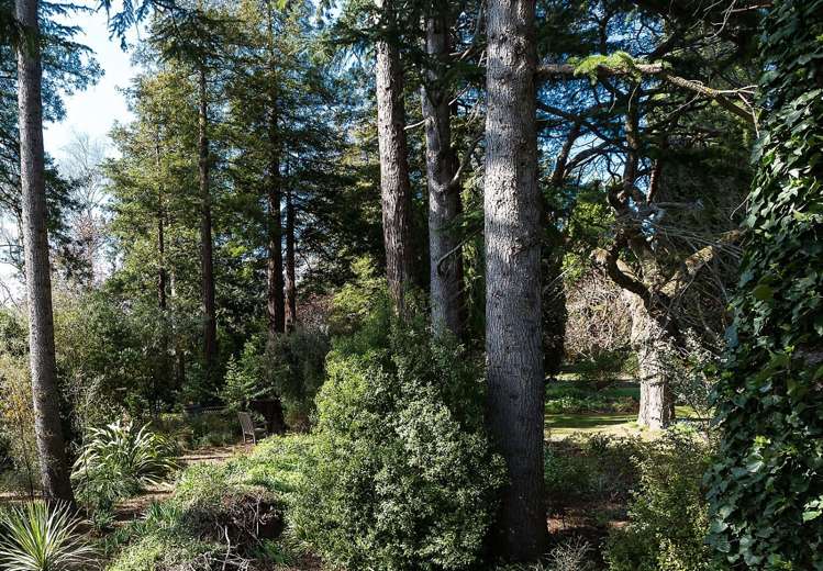 171 Gladstone Road South East Taieri_20