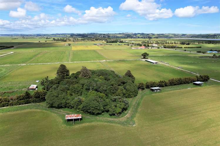 Tramline Road Ruawai_0