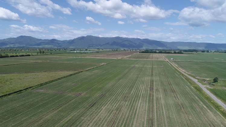 1291 Alexandra Road Waharoa_5