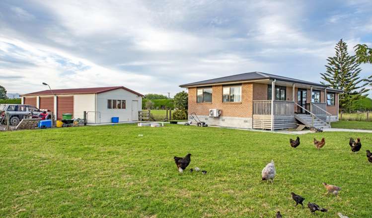 30 Snell Road Opotiki Coastal_10