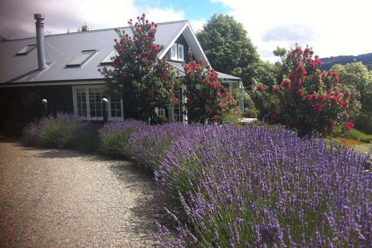 273 College Street Motueka_12