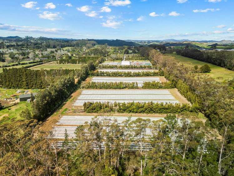 126 Wiroa Road Kerikeri_5
