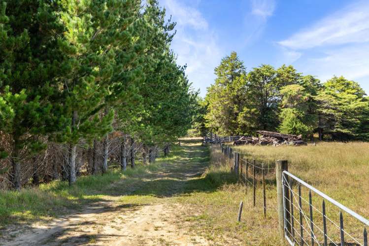 347a Black Swamp Road Mangawhai_23