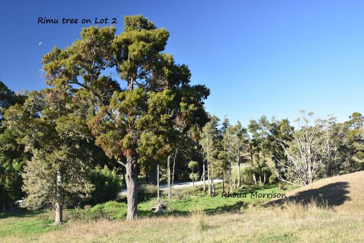 Golden Stairs Rd Maungaturoto_21