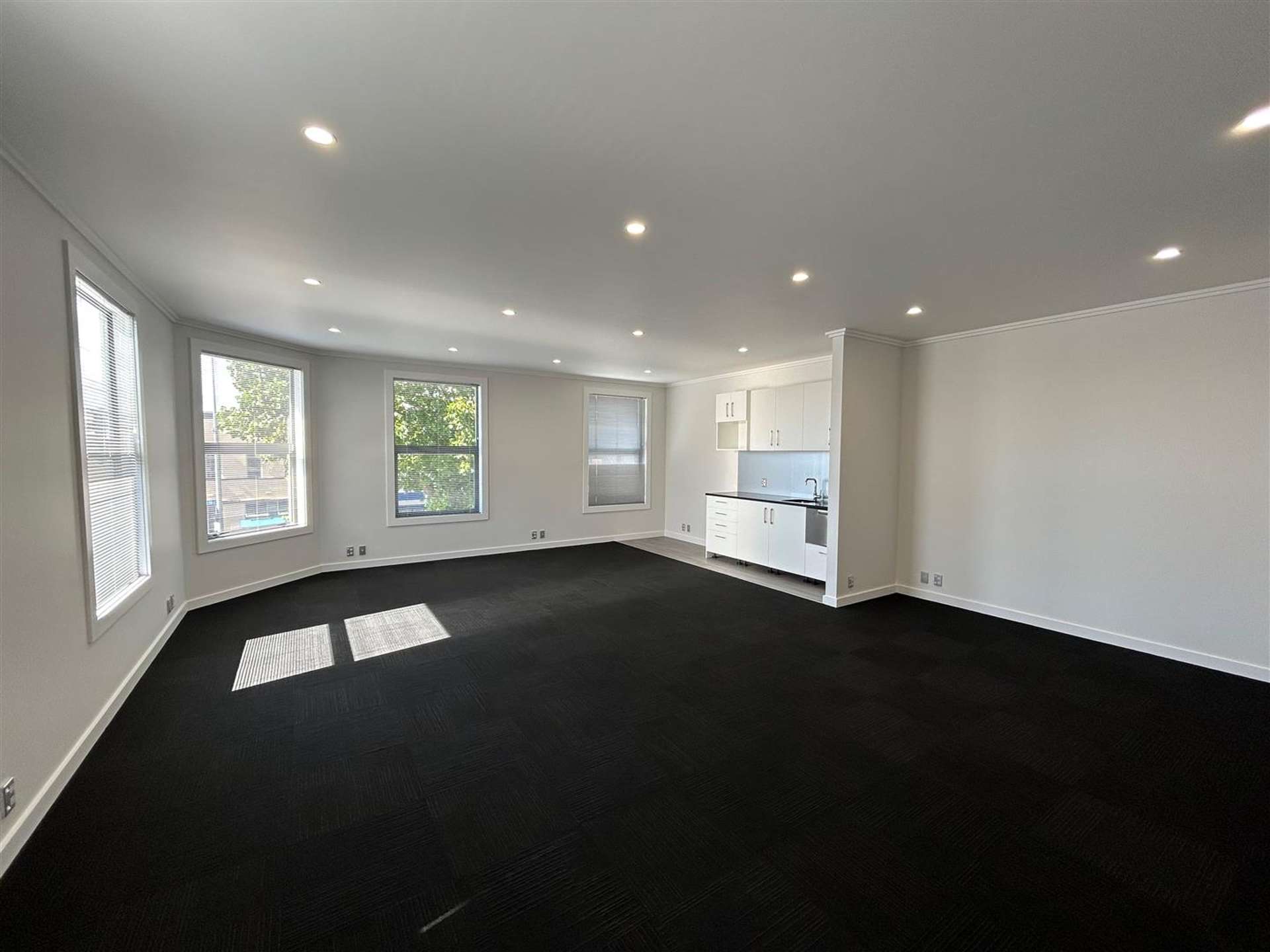 584 Great North Road Grey Lynn_0