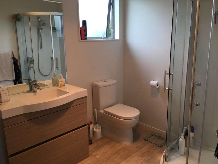 358a Horseshoe Bush Road Dairy Flat_10