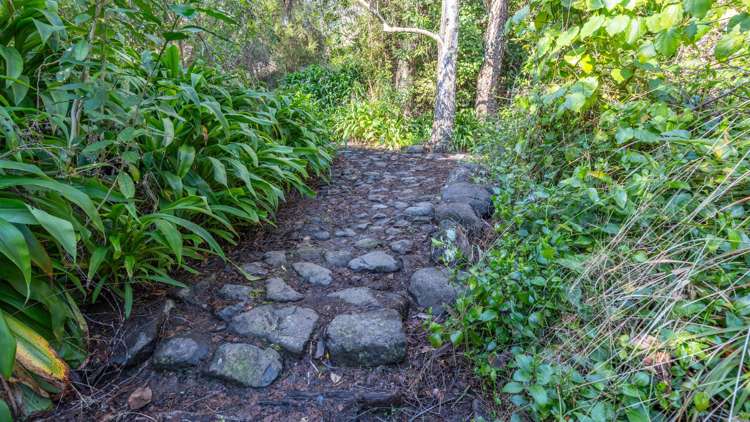 38 Tizzards Road Robinsons Bay_45