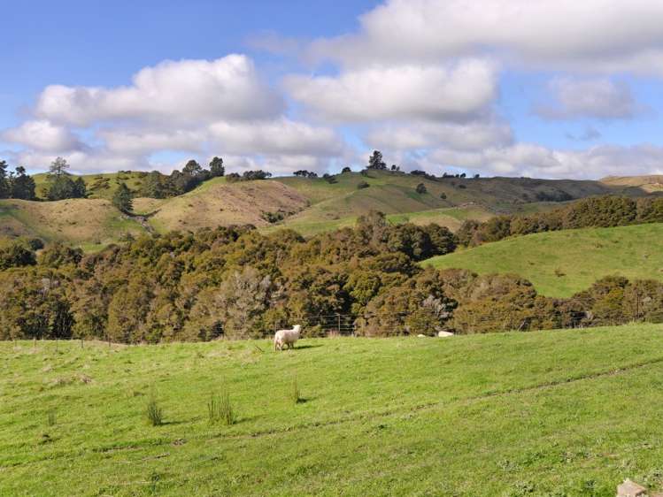 142 Strachan Road Ngatimoti_19