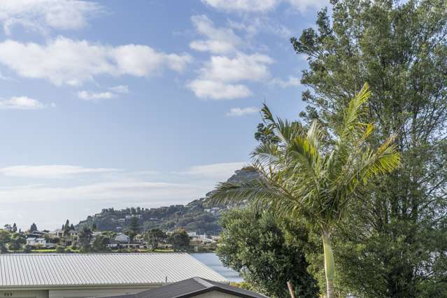 118 Pepe Road Tairua_2