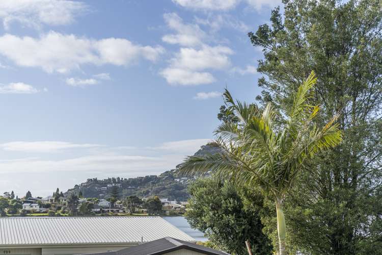 118 Pepe Road Tairua_2