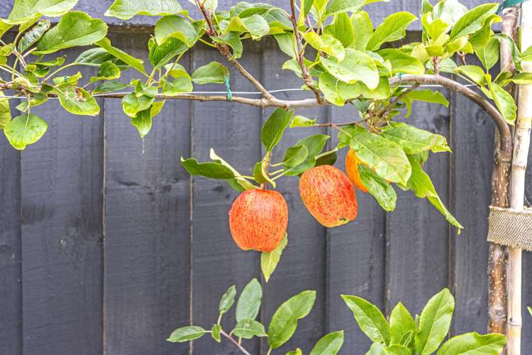 94 Spalling Road Halswell_6