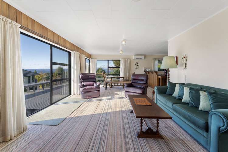 9 Koromiko Place Omori_2