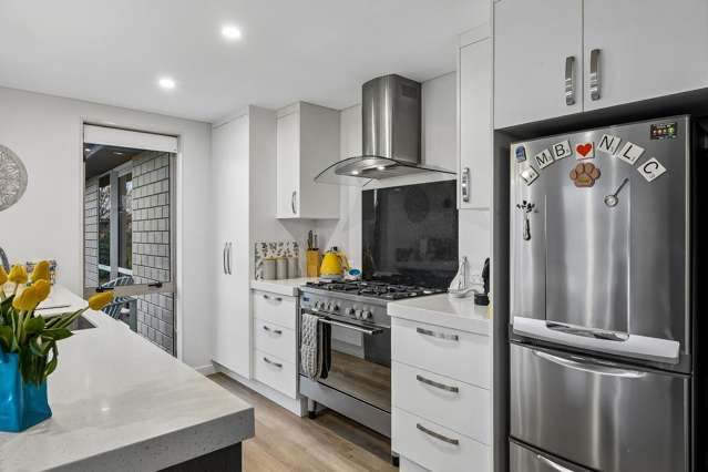 171 Factory Road Mosgiel_3