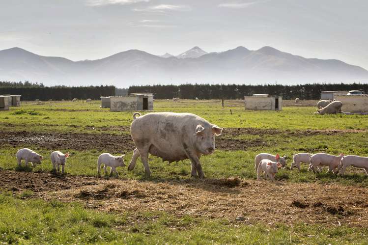 724 Medbury Road Hawarden_6