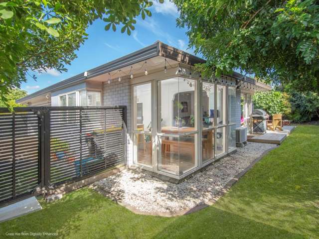 5B Hibiscus Avenue Mt Maunganui_2