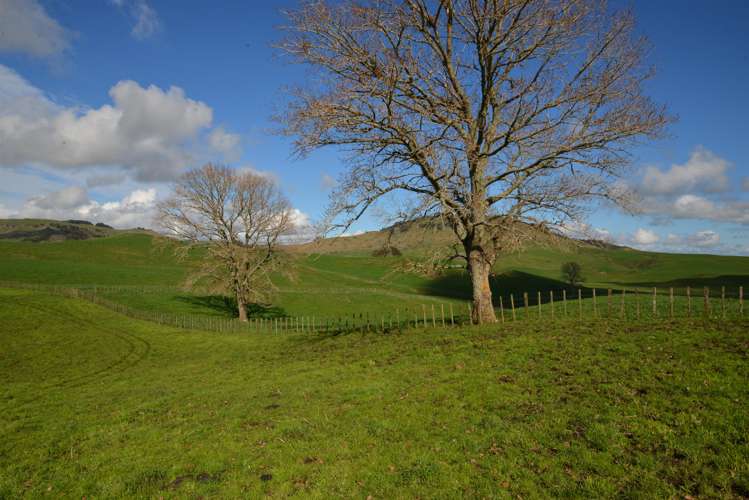 220 Tikitiki Road Te Kuiti_13