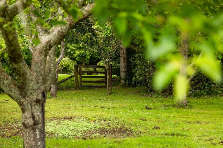 42 Lawrence Road Waihi_22