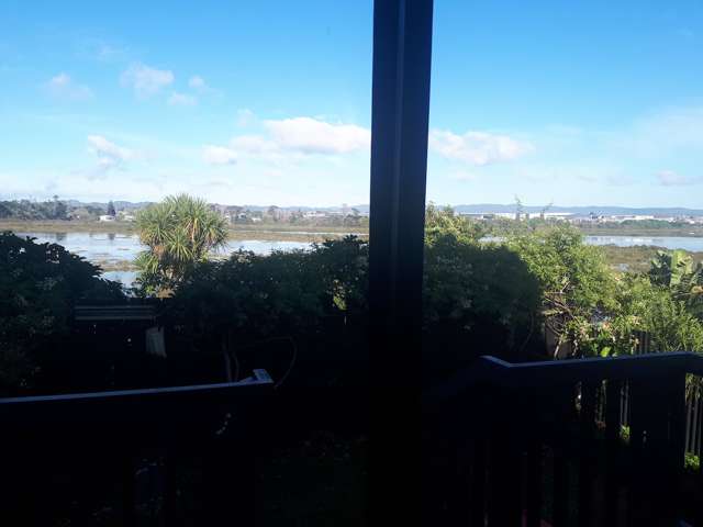 2/40 Saxon Street Waterview_3