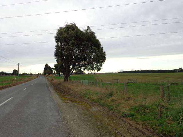 Old Port Road Catlins Surrounds_3