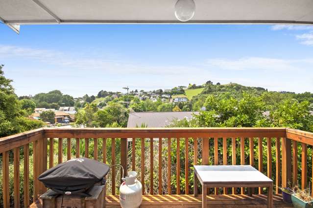 84a Prospect Terrace Pukekohe_3