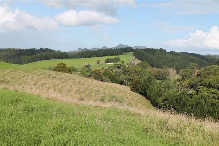 Taraunui Road Parua Bay_6