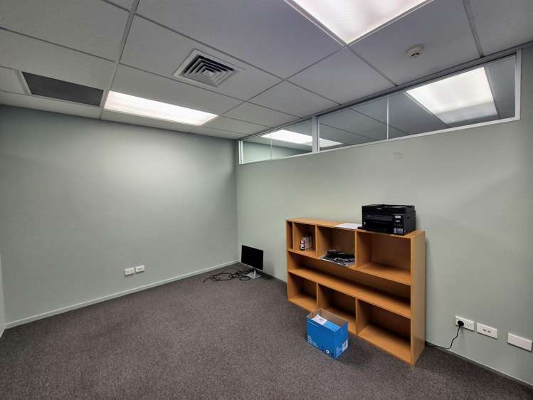 309 Rosebank Road Avondale_9