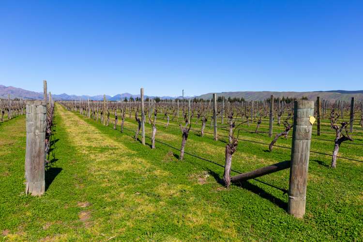 97 Shandon Road Waihopai Valley_8