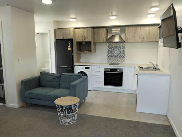 Central City Apartment On Castle - Unit C at 287.