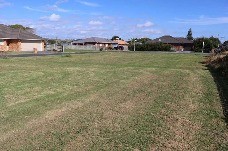 1 Plover Crescent  Dargaville _2