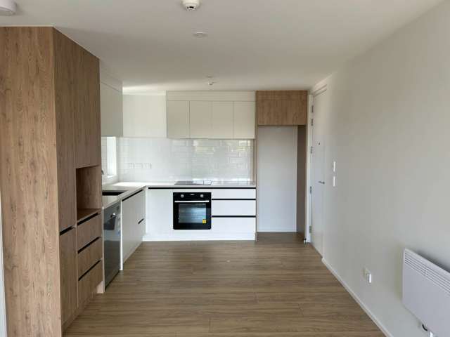 Brand New 2 Bedroom Apartment