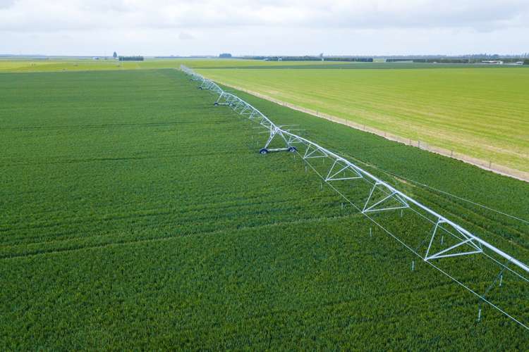 362 Fairfield Road Newland_0