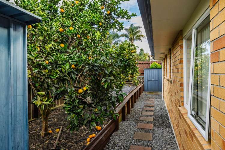 8 Baska Voda Drive Kerikeri_22