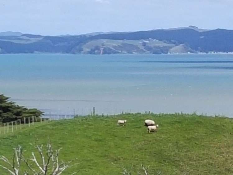 989 Te Papatapu Road Raglan_5