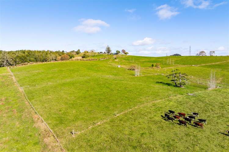 103 Partridge Road Wellsford_28