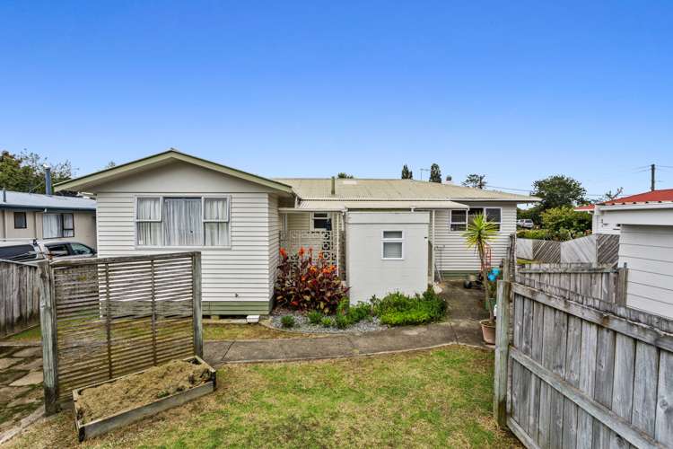 142 College Road Edgecumbe_14