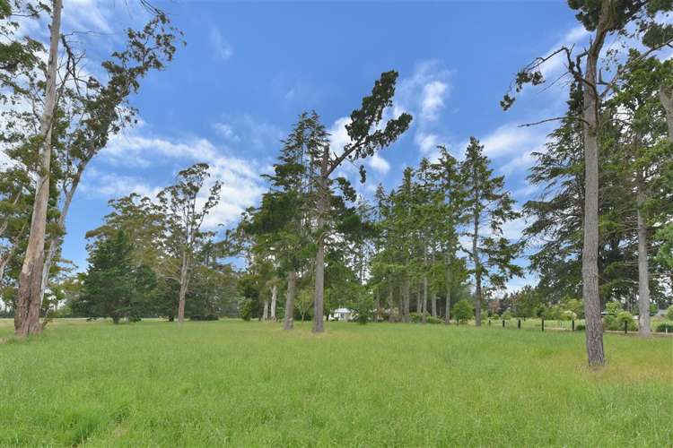 1306 Two Chain Road Swannanoa_9