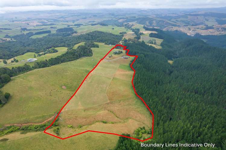 88 Scott Rd Te Awamutu_36