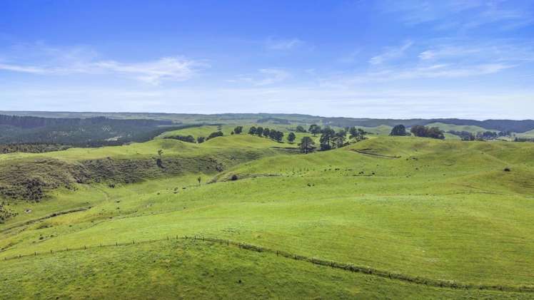 301 Matarawa Road Kinleith_29