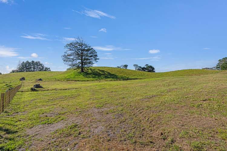Mount Wesley Coast Road Dargaville_9