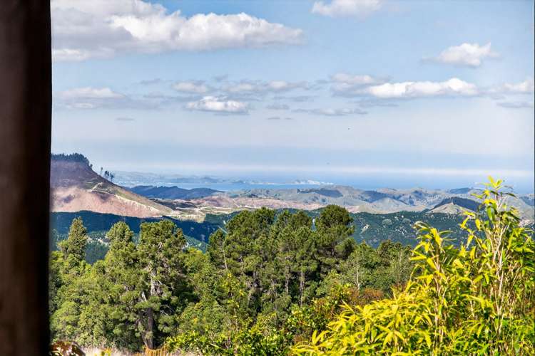 551 Parikanapa Road Tiniroto_64